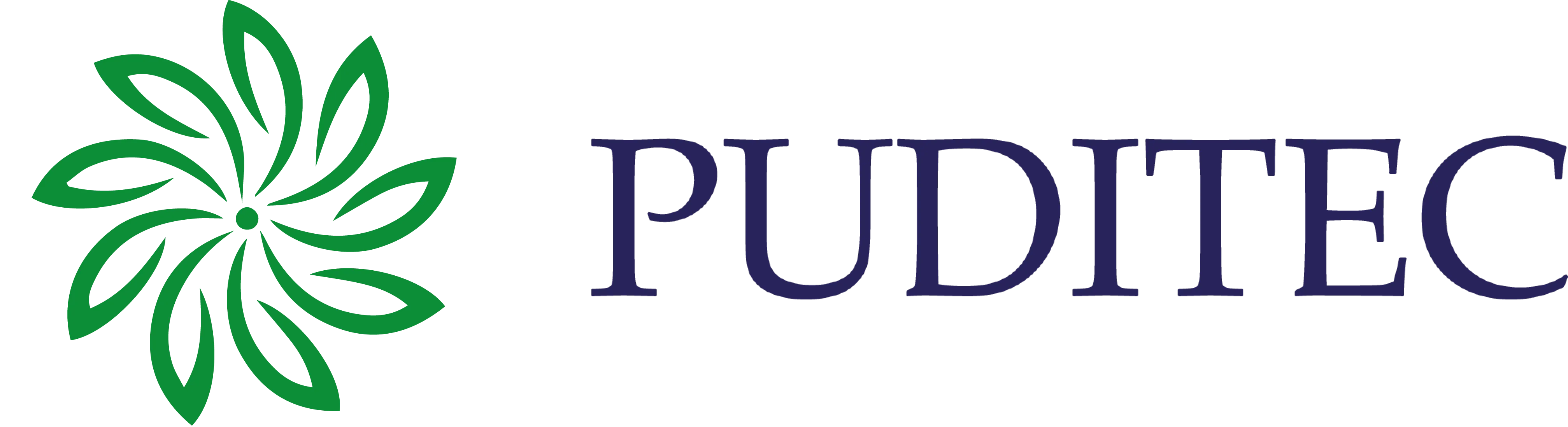 PUDITEC