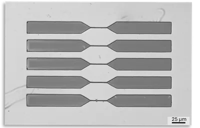 Tapered nanowire bridges — patterned on the NANYTE BEAM maskless lithography system