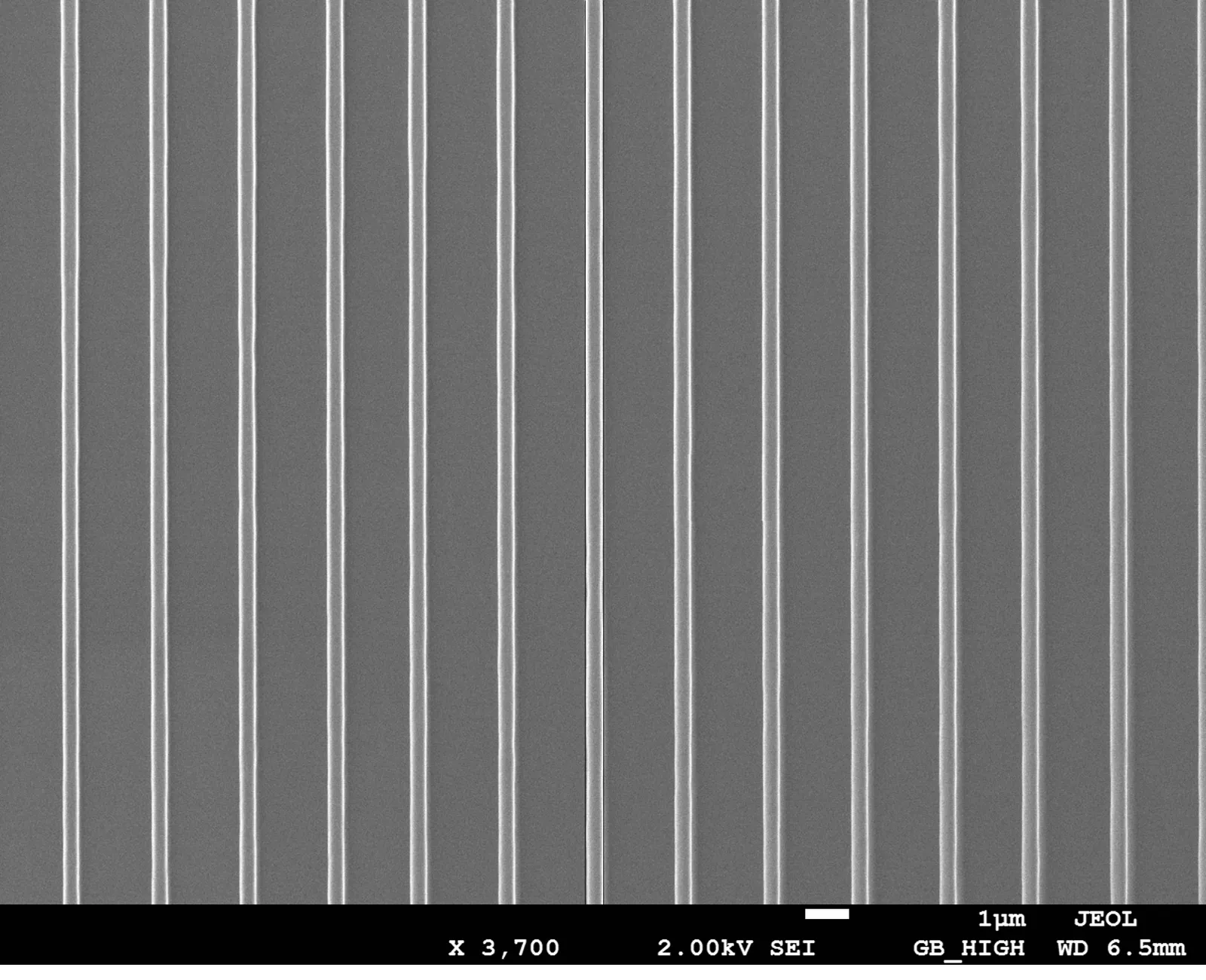 Cr nanowires after lift-off · SEM