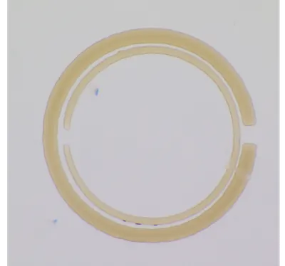Asymmetric split ring resonators — patterned on the NANYTE BEAM maskless lithography system