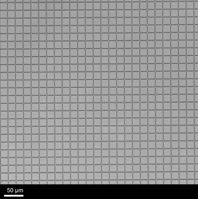 Stitched grid over many writefields — patterned on the NANYTE BEAM maskless lithography system