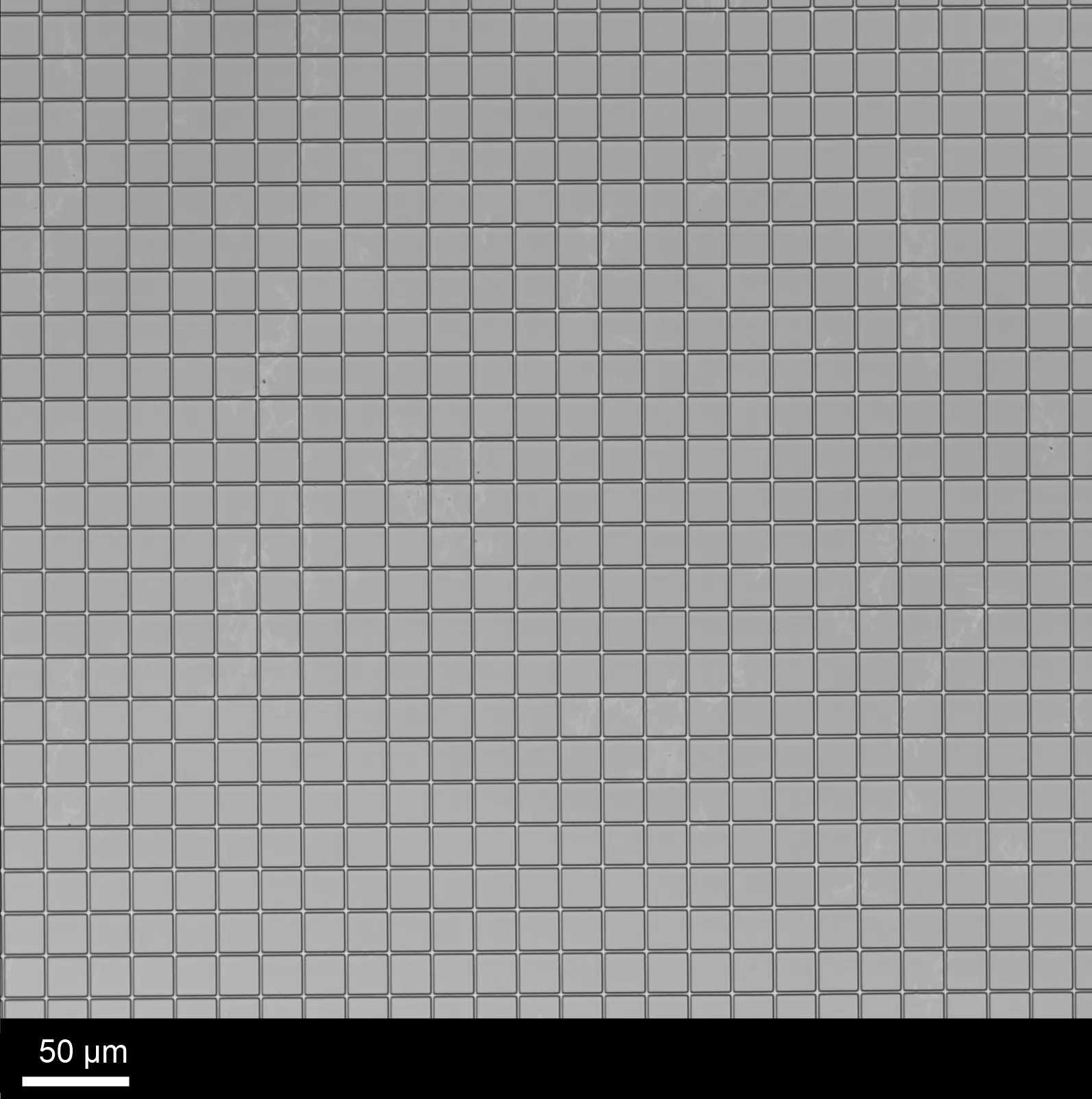 Stitched grid over many writefields